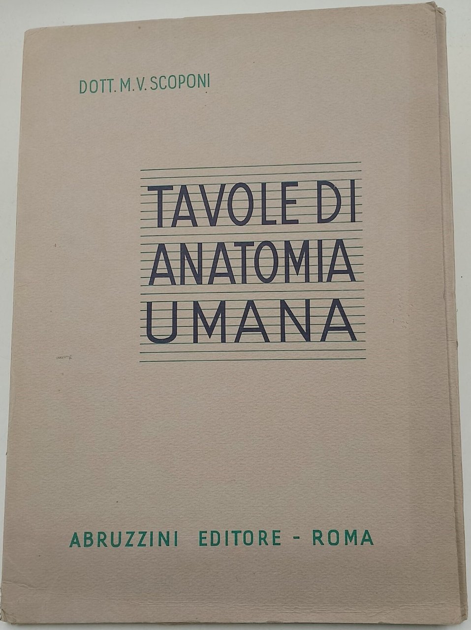 Tavole di Anatomia Umana