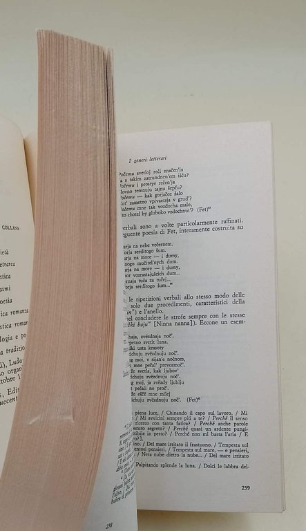 TEORIA DELLA LETTERATURA( 1978)