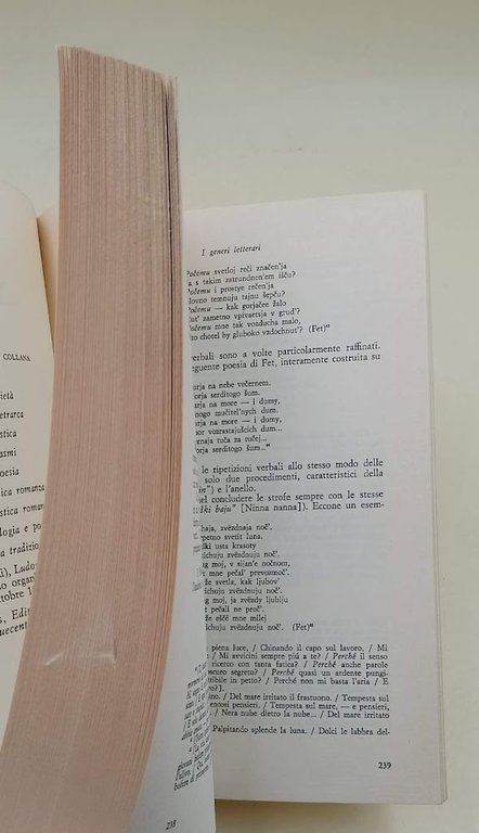 TEORIA DELLA LETTERATURA( 1978)