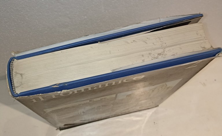 Tesori d'arte cristiana Vol. II Il romanico | Immagine Gallery 4