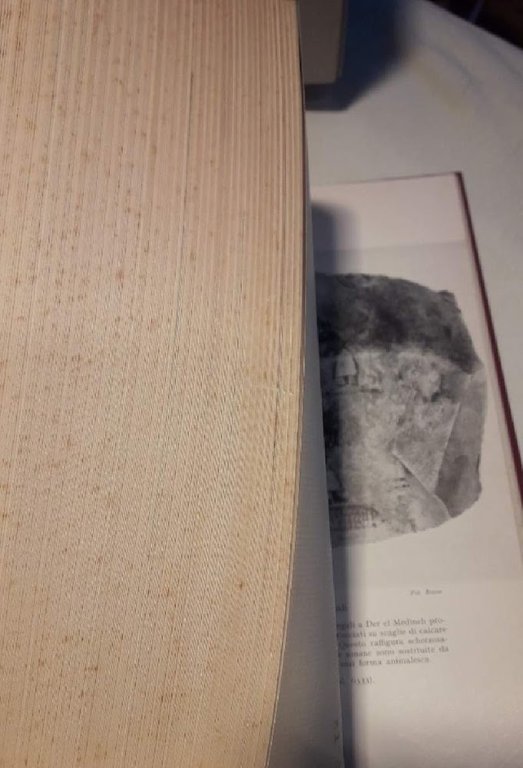 TESTI RELIGIOSI EGIZI(1970)