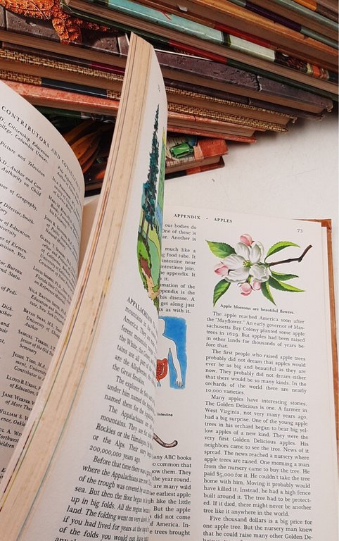 The Golden Book Encyclopedia - 10 Voll. ( voll. n' … | Immagine Gallery 5