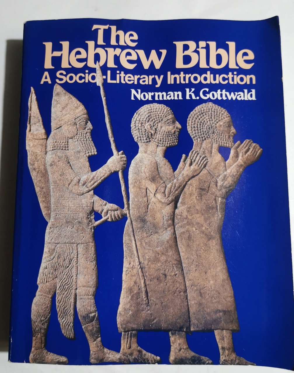 The Hebrew Bible - A socio-literary introduction | Immagine principale