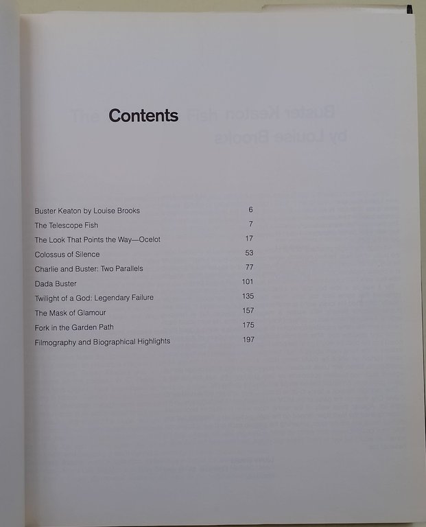 The look of Buster Keaton