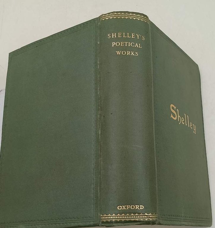 THE POEMS OF PERCY BYSSHE SHELLEY(1919)