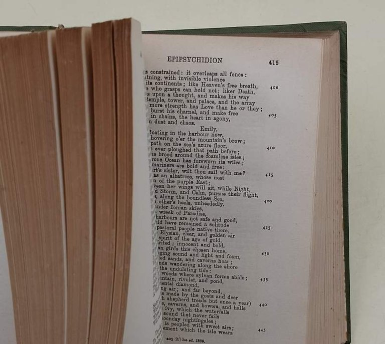THE POEMS OF PERCY BYSSHE SHELLEY(1919)