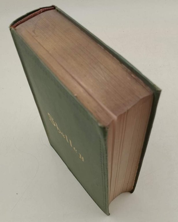 THE POEMS OF PERCY BYSSHE SHELLEY(1919)