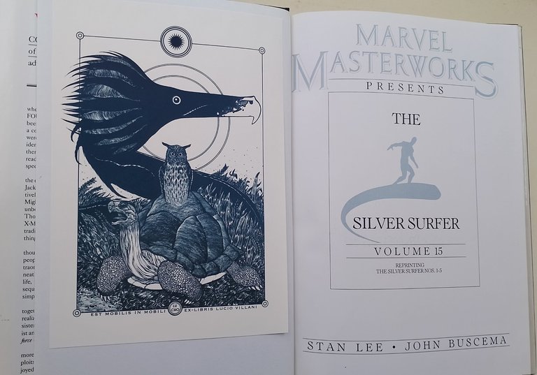 The silver surfer | Immagine Gallery 2