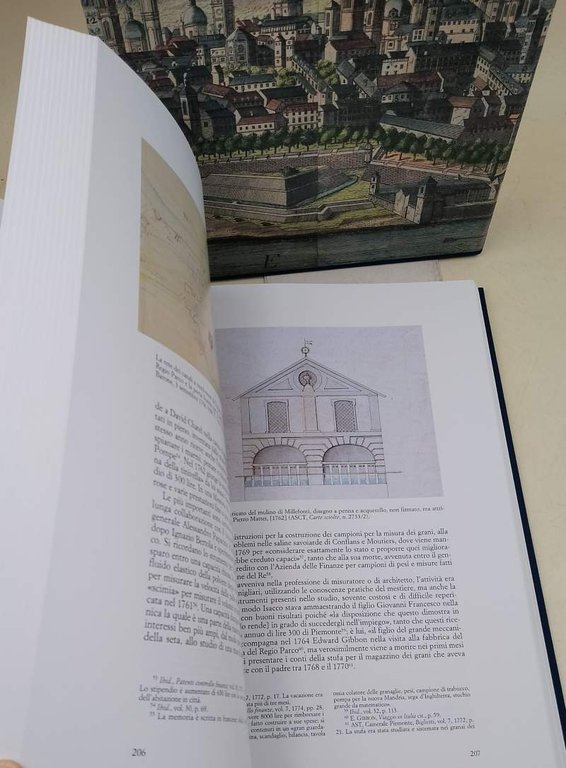 TORINO, LE SUE MONTAGNE, LE SUE CAMPAGNE(2001)