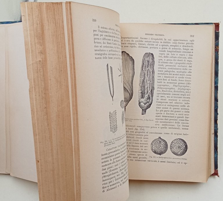 Trattato di geologia con speciale riguardo alla geologia d'Italia | Immagine Gallery 4