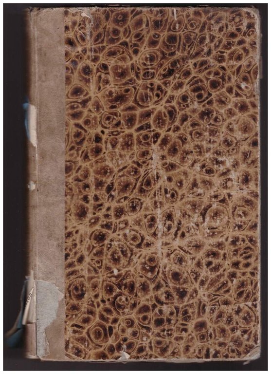 TRATTATO ELEMENTARE DI GEOMETRIA (1842) | Immagine Gallery 4