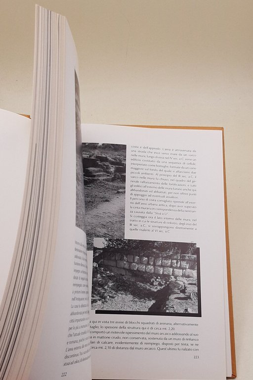 Una citta' in Magna Grecia. Locri Epizefiri