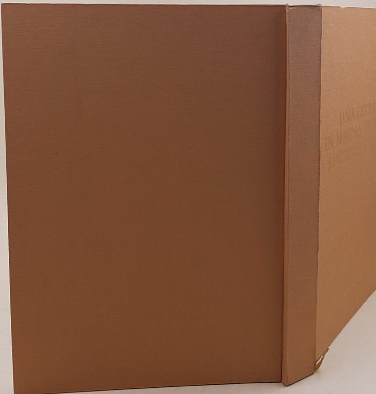 Una citta' in Magna Grecia. Locri Epizefiri