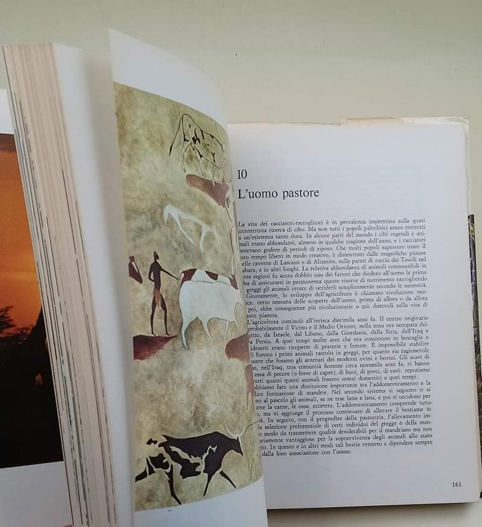 UOMO NATURA ECOLOGIA(1974)