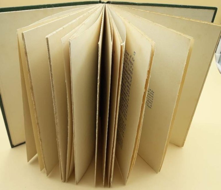 VERMEER OF DELFT 1632-1675