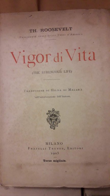 VIGOR DI VITA(THE STRENUOS LIFE (1905) | Immagine Gallery 2