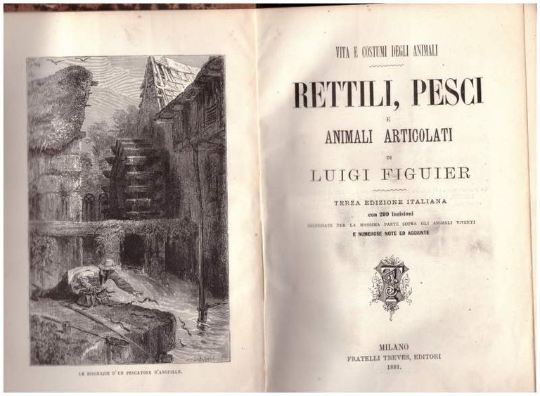 VITA E COSTUMI DEGLI ANIMALI. RETTILI, PESCI E ANIMALI ARTICOLATI … | Immagine Gallery 4