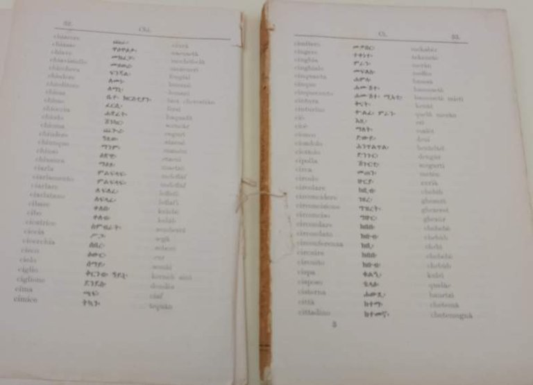 VOCABOLARIO ITALIANO -TIGRAI E TIGRAI-ITALIANO(1904)