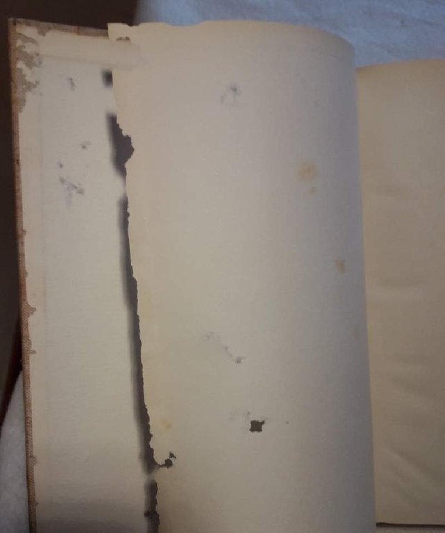 VOCABOLARIO TECNICO E COMMERCIALE DEL LEGNO( 1957)