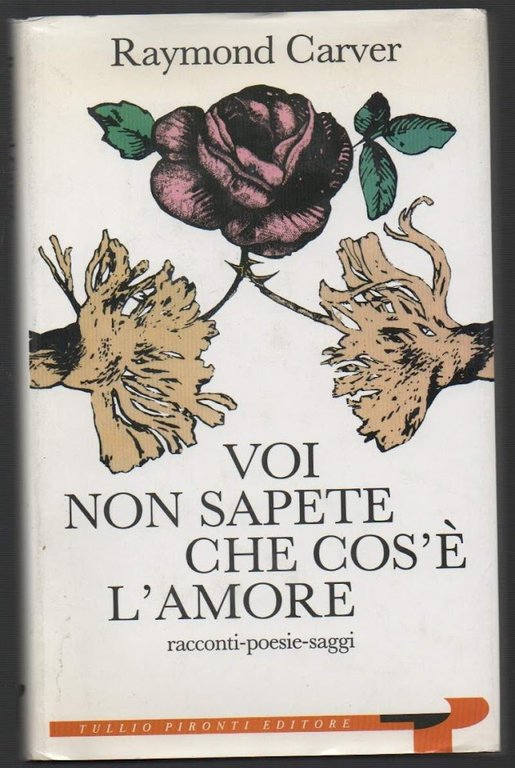 VOI NON SAPETE CHE COS'E' L'AMORE racconti - poesie - …