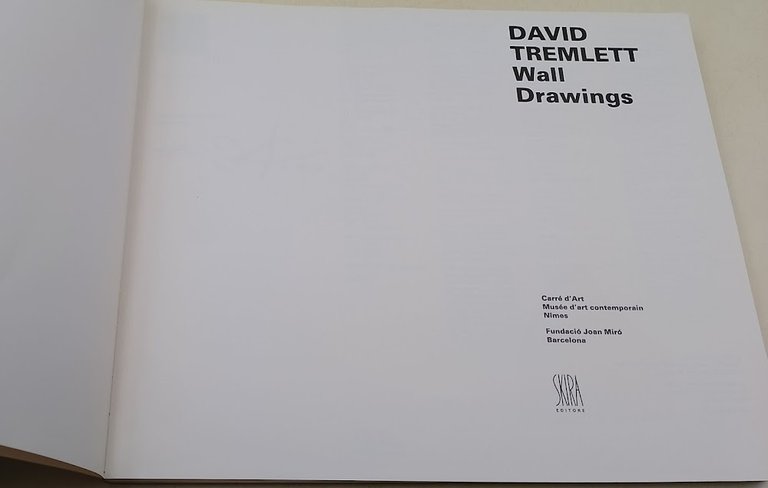 Wall Drawings