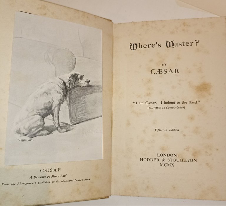 Where's Master? The King's Dog