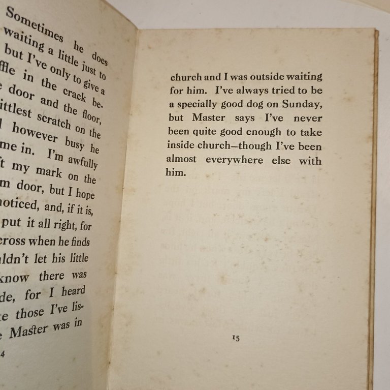 Where's Master? The King's Dog