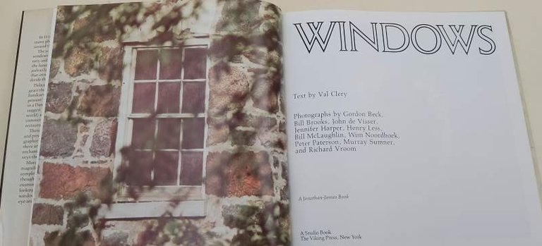 WINDOWS(1978)