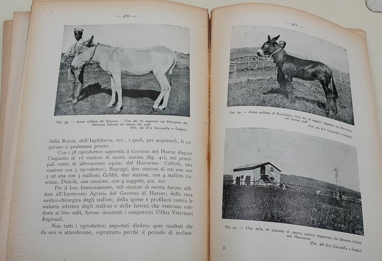 Zootecnia profilassi e igiene zootecnica in Africa Orientale-parte seconda
