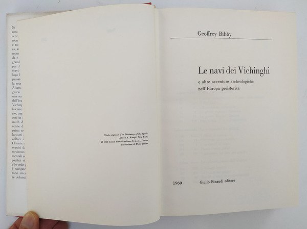 Le navi dei vichinghi