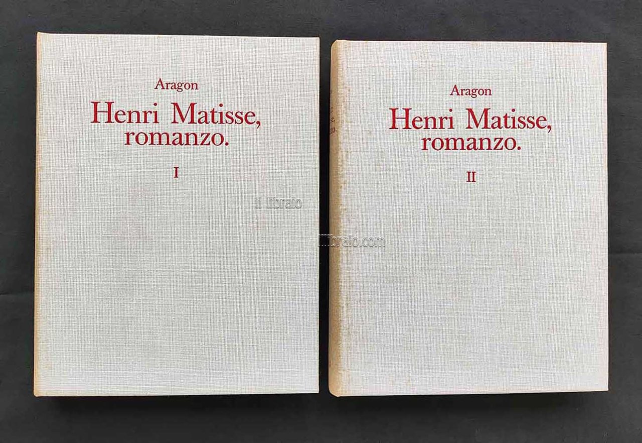 Henry Matisse romanzo