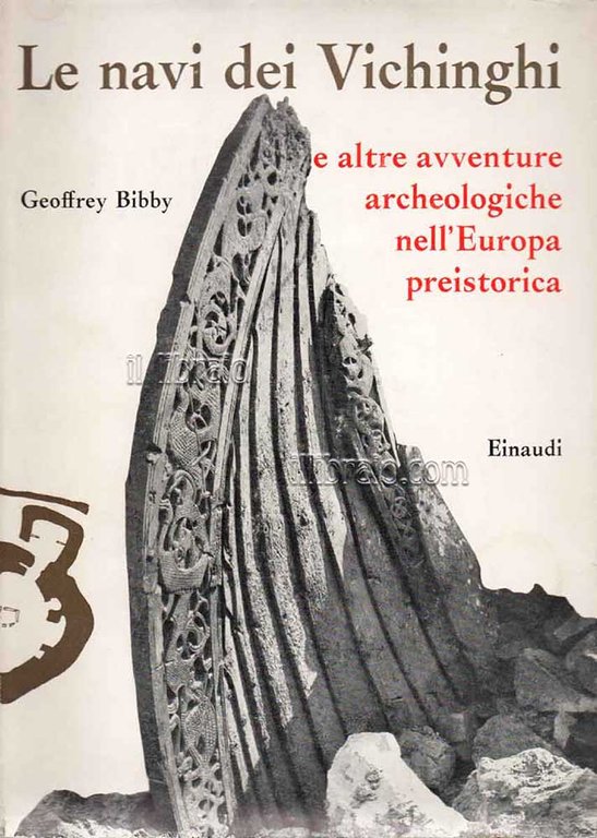 Le navi dei vichinghi