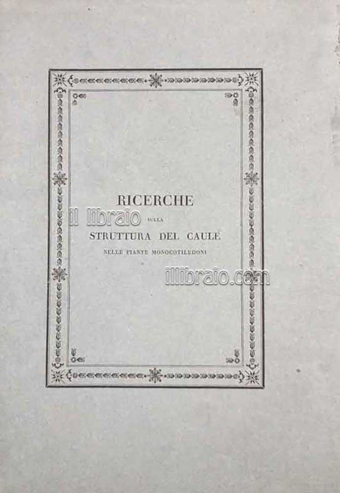 Ricerche sulla struttura del caule nelle piante monocotiledoni