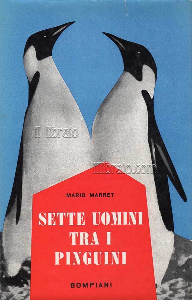 Sette uomini tra i pinguini