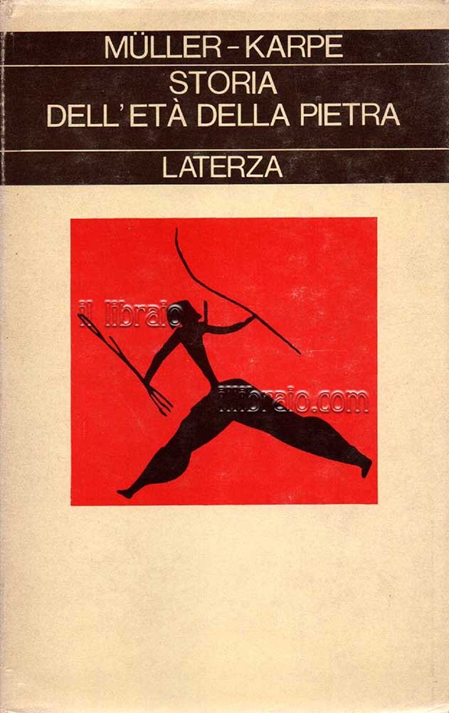 Storia dell'età della pietra