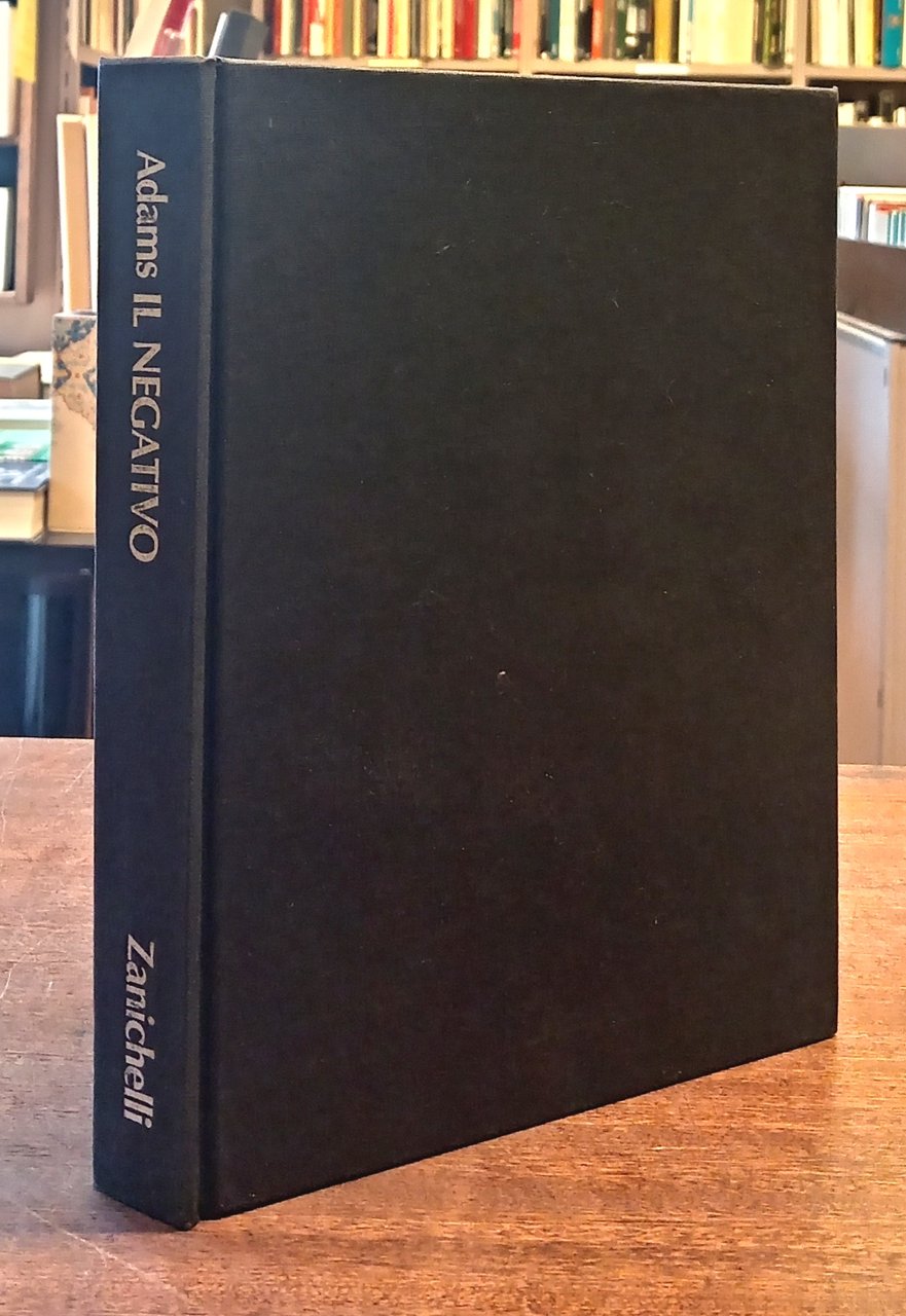 IL NEGATIVO | Immagine principale