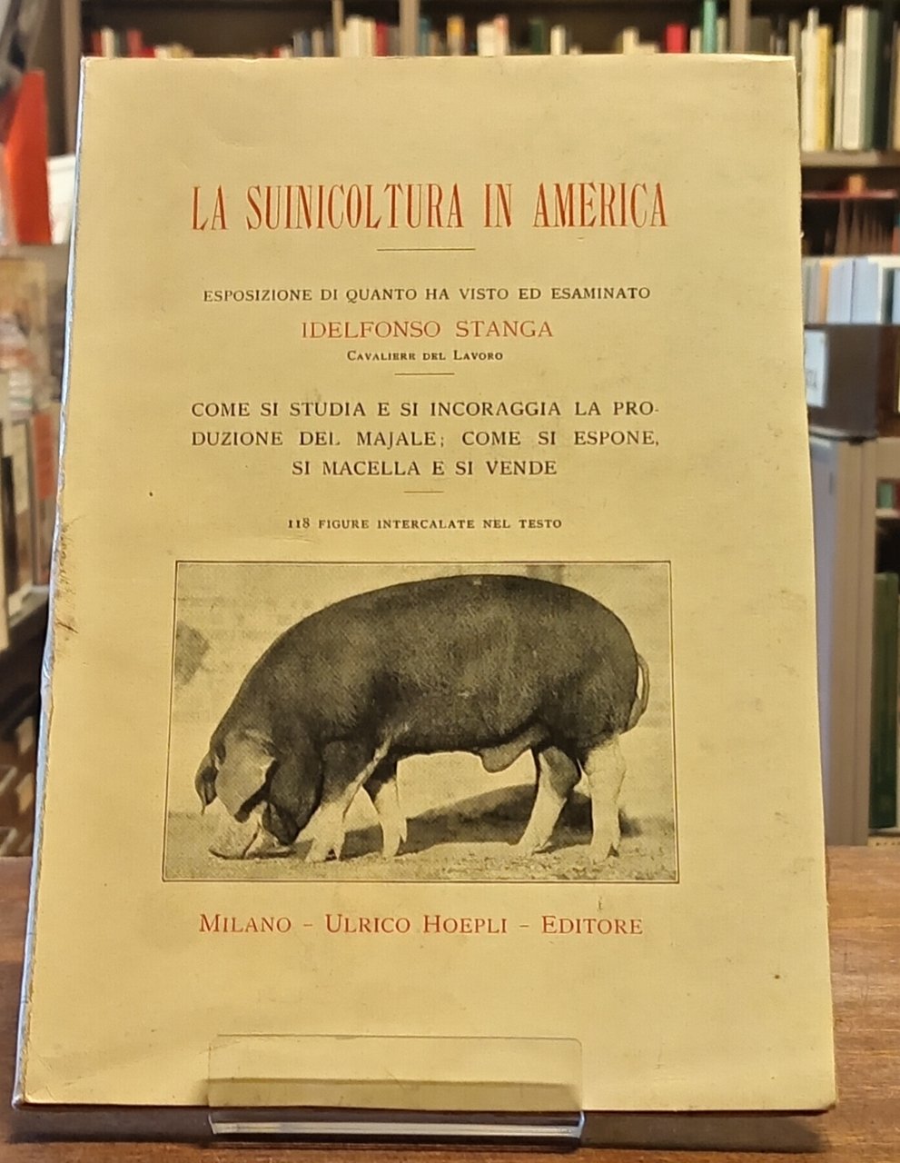 LA SUINICOLTURA IN AMERICA. Come si studia e si incoraggia …