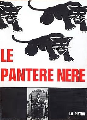 LE PANTERE NERE | Immagine principale