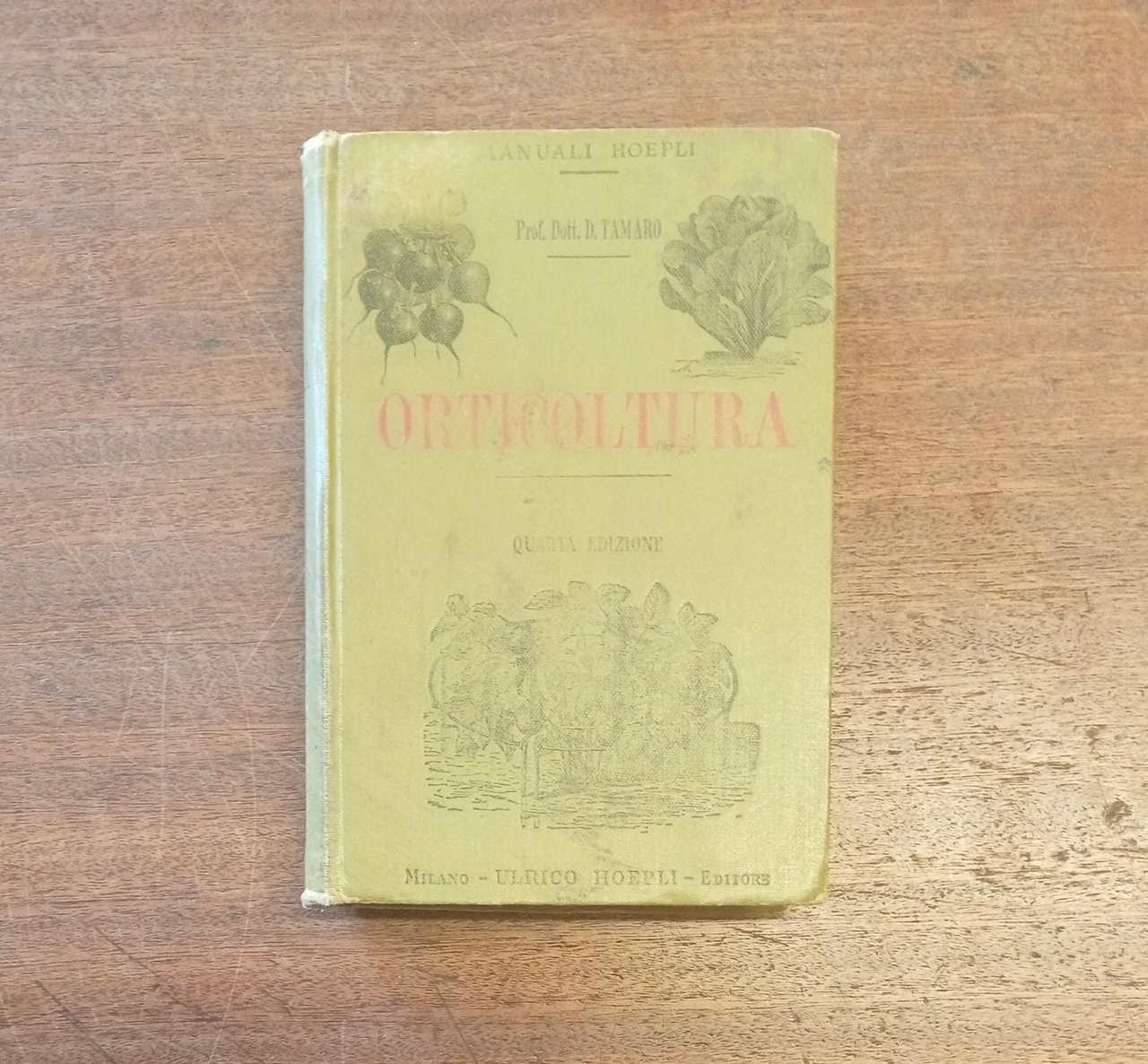 ORTICOLTURA | Immagine principale