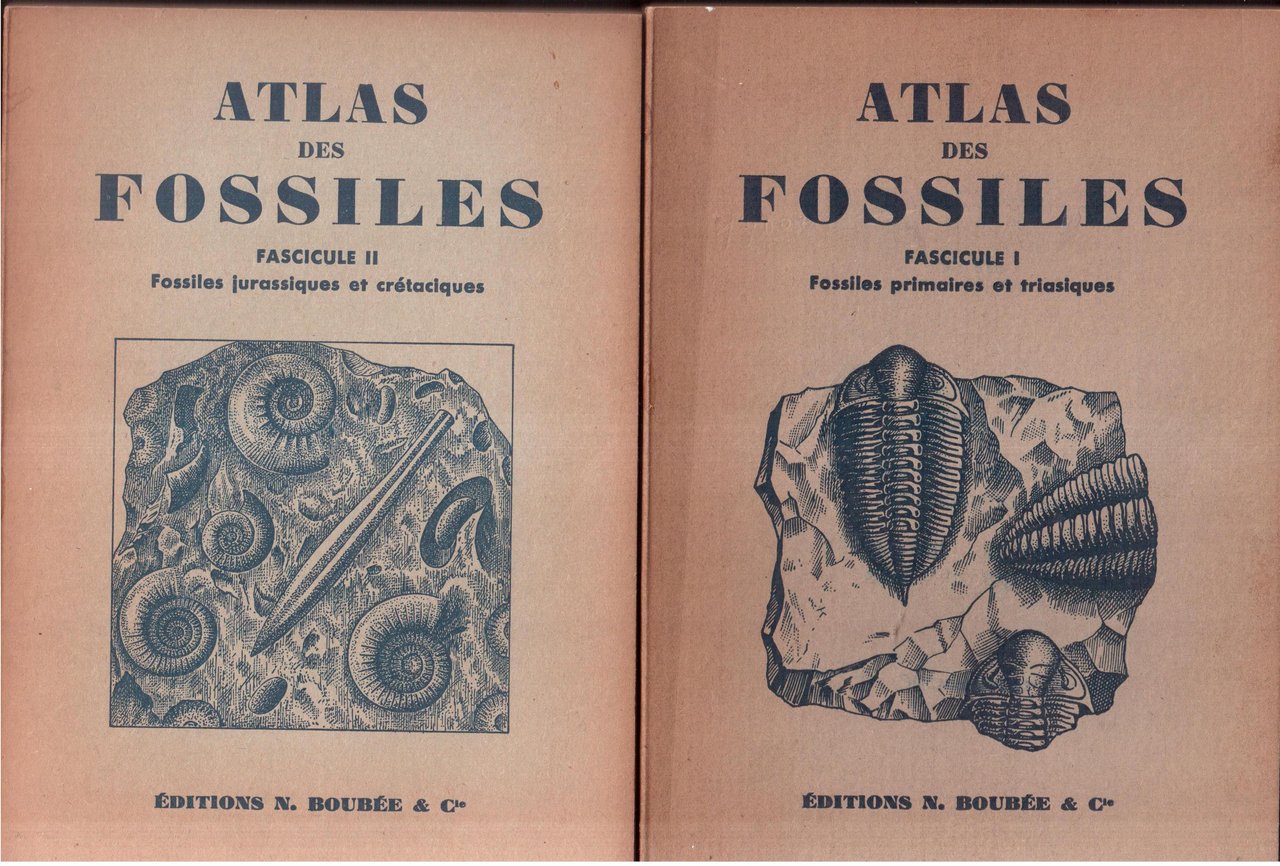 Atlas des fossiles- Fascicule I e II