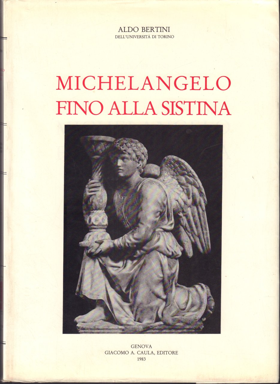 Michelangelo fino alla Sistina