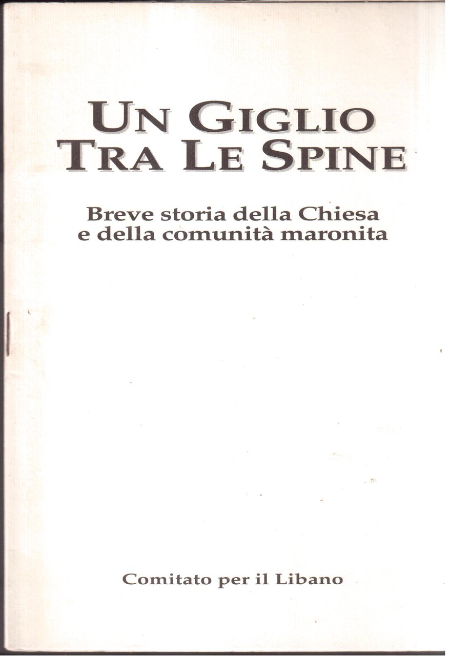 Un giglio tra le spine Breve storia della Chiesa e …