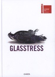 Glasstress. 53∞ Esposizione Internazionale d'arte, eventi collaterali