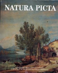 Natura picta. Paesaggio e immagini dell' Emilia Romagna nelle arti …