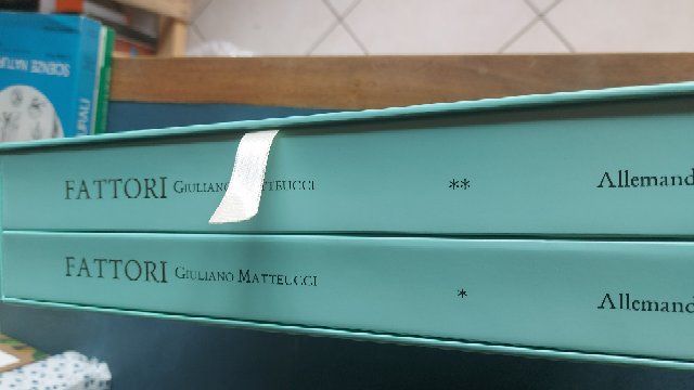 Fattori - Giovanni Fattori. Catalogo Ragionato delle opere