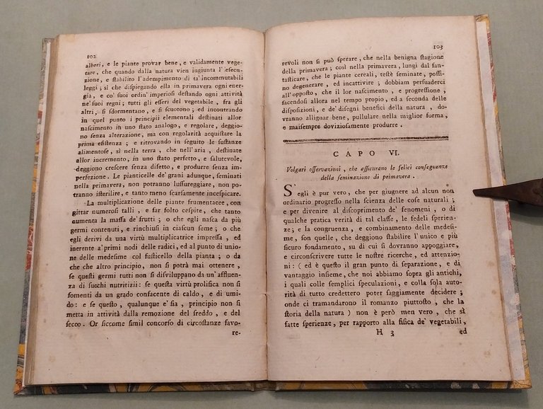 Sulla propria stagione di seminare il grano.