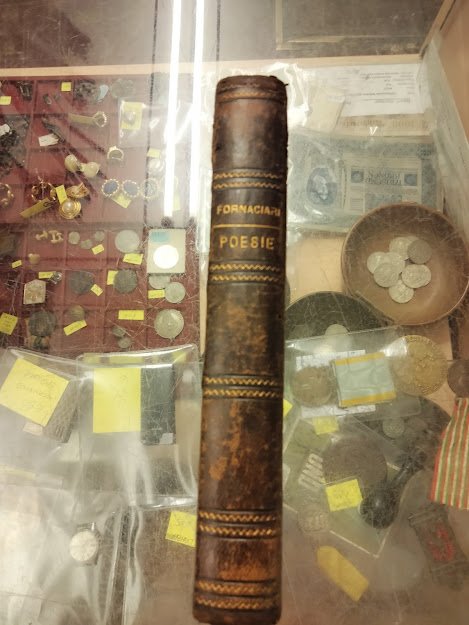 Esempi di bello scrivere scelti e illustrati dall'avv. Luigi Fornaciari, …