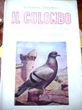 Il colombo