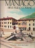 Maniago pieve feudo comune