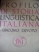 Profilo di storia linguistica italiana